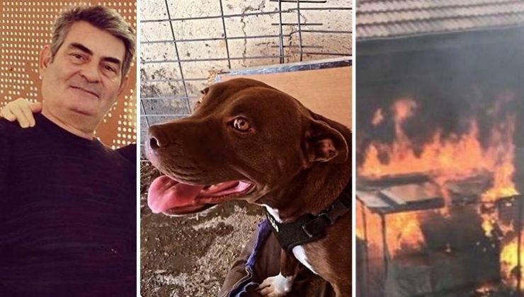 İzmir’de Şila’yı kulübesinde yakarak öldüren caninin cezası arttı