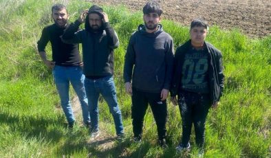 Edirne’de  jandarma 4 kaçak göçmeni yakaladı