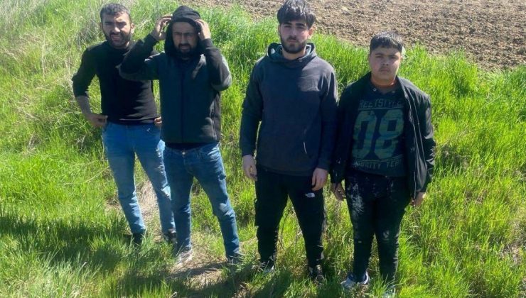 Edirne’de  jandarma 4 kaçak göçmeni yakaladı